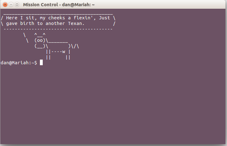 cowsay texan.png